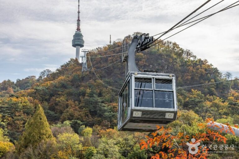[예스키즈존] 남산케이블카