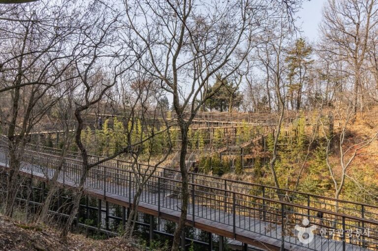 [예스키즈존] 대모산도시자연공원