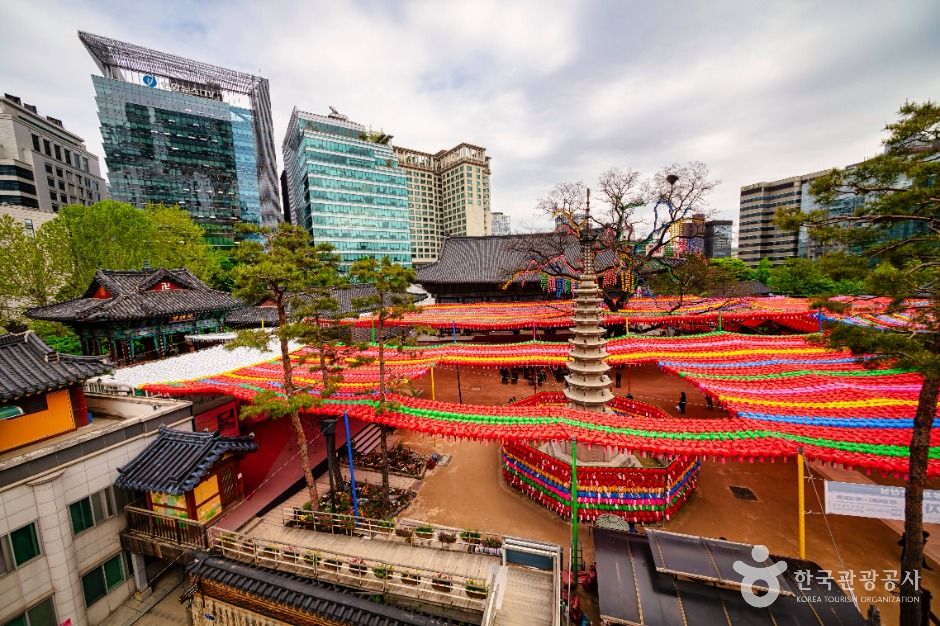 yeskids 1770704728 621 예스키즈존 탐험대 : 실패 없는 육아여행