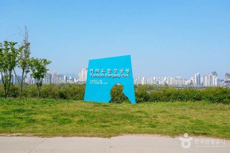 [예스키즈존] 여의도한강공원