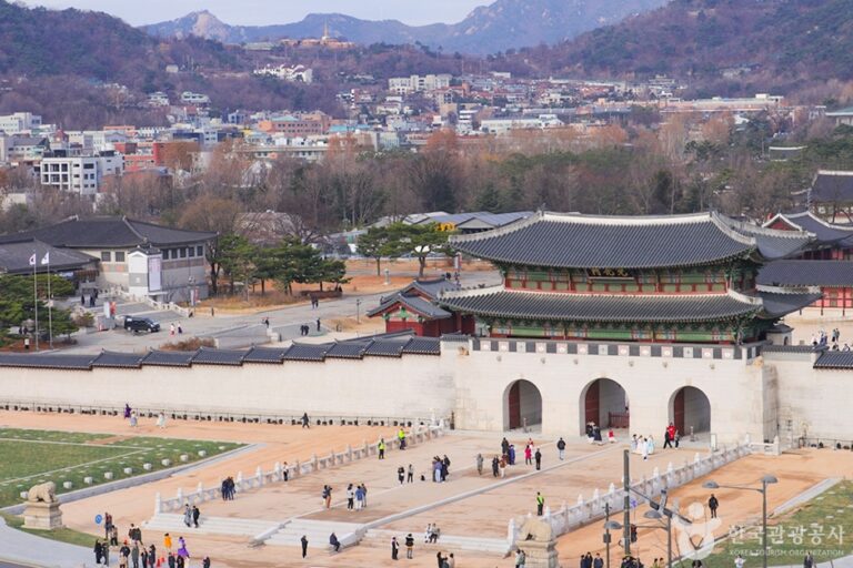 [예스키즈존] 광화문