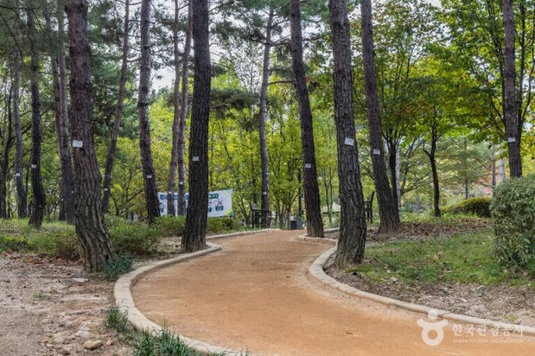 [예스키즈존] 서울창포원