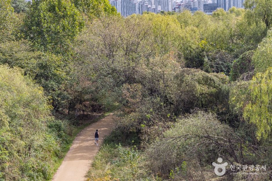 yeskids 1770704859 656 예스키즈존 탐험대 : 실패 없는 육아여행