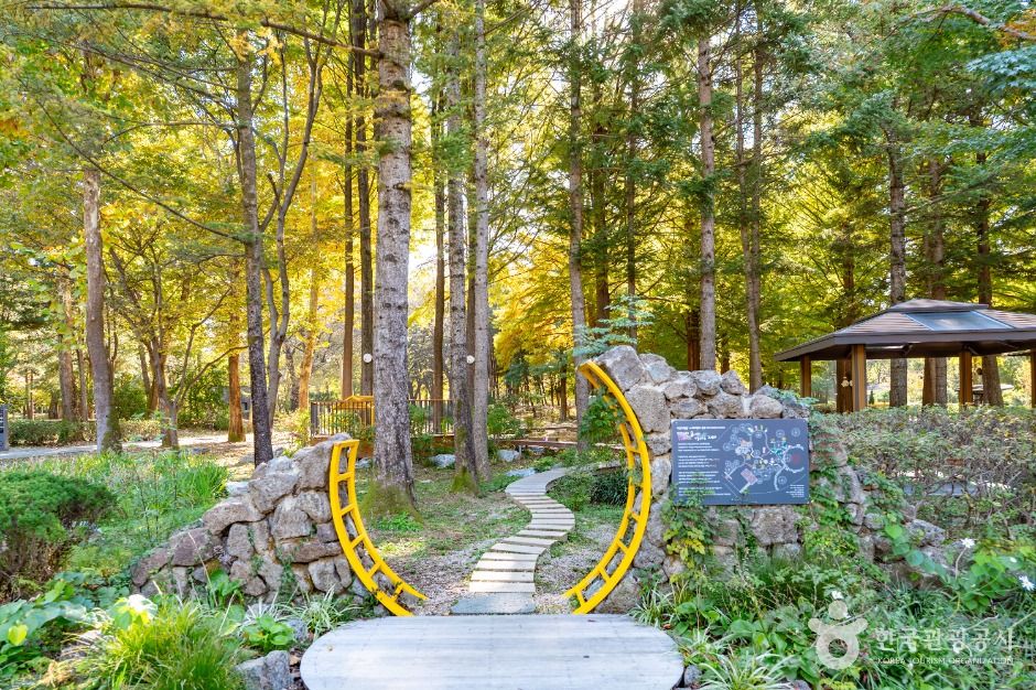 yeskids 1770704925 669 예스키즈존 탐험대 : 실패 없는 육아여행