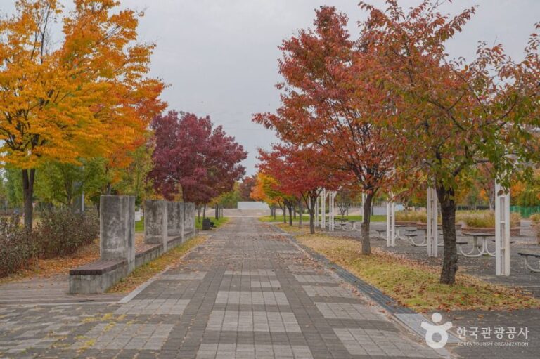 [예스키즈존] 난지한강공원
