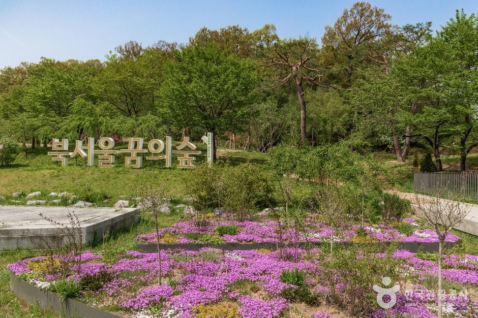 yeskids 1770705055 451 예스키즈존 탐험대 : 실패 없는 육아여행