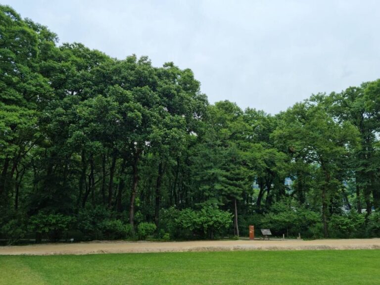 [예스키즈존] 헌인릉 생태경관보전지역(오리나무림)