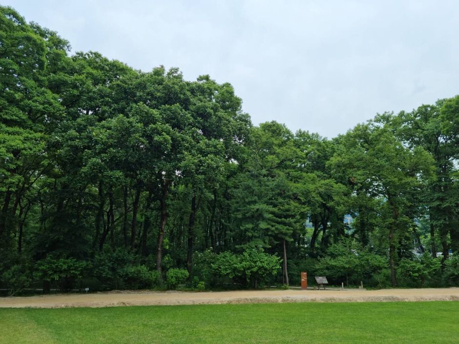 yeskids 1770705083 197 예스키즈존 탐험대 : 실패 없는 육아여행