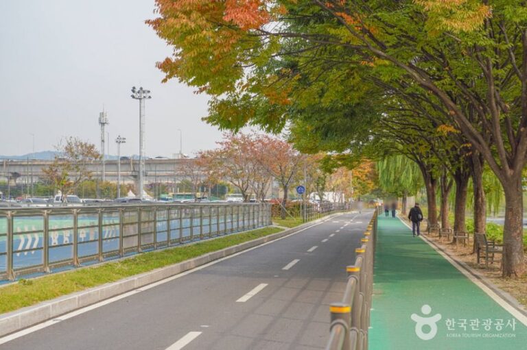 [예스키즈존] 살곶이체육공원