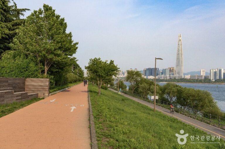 [예스키즈존] 뚝섬한강공원