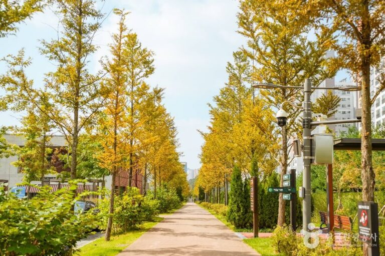 [예스키즈존] 푸른수목원