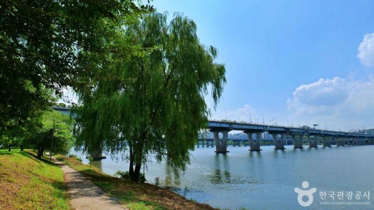 [예스키즈존] 광나루한강공원