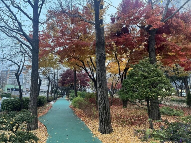 [예스키즈존] 구로거리공원