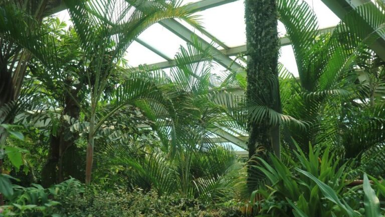 [예스키즈존] 서울숲 곤충식물원