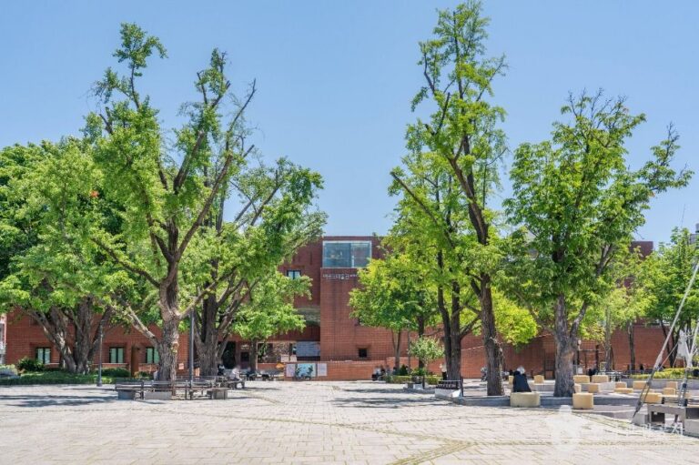 [예스키즈존] 마로니에공원