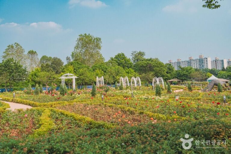 [예스키즈존] 용산가족공원
