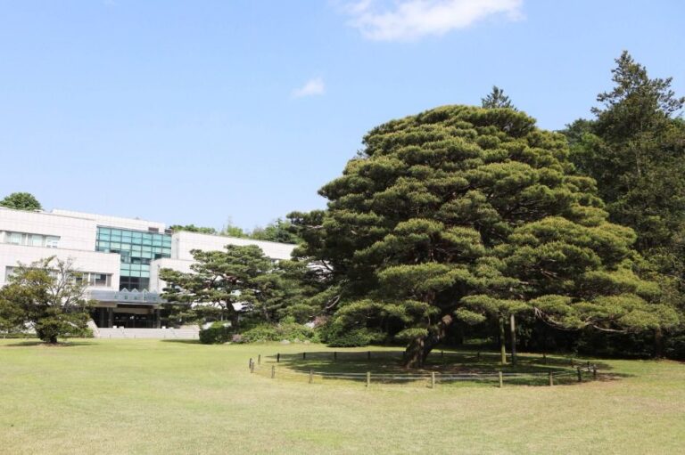 [예스키즈존] 홍릉시험림(홍릉숲)