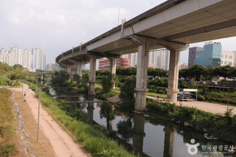 [예스키즈존] 청계8경 버들습지