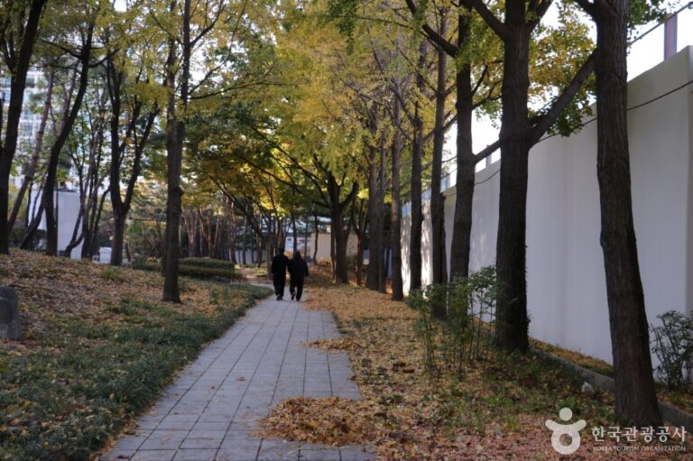 [예스키즈존] 훈련원공원