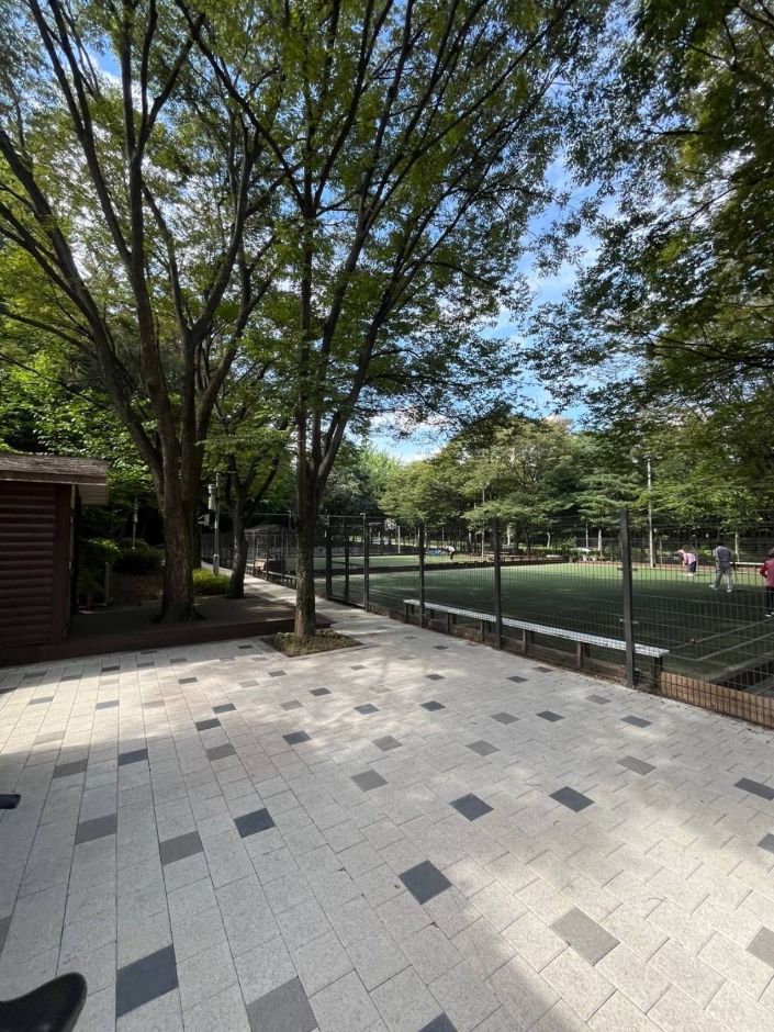 [예스키즈존] 계남근린공원