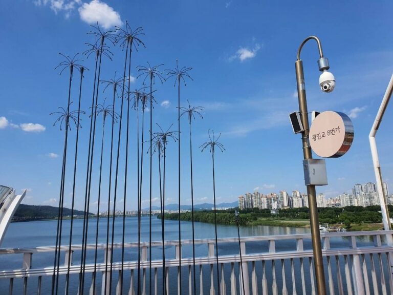 [예스키즈존] 광진교 8번가