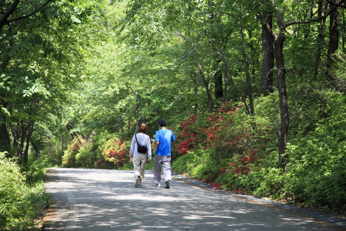 [예스키즈존] 망우 역사문화공원