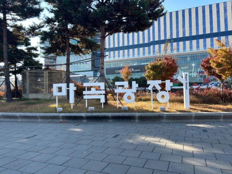 [예스키즈존] 마곡광장