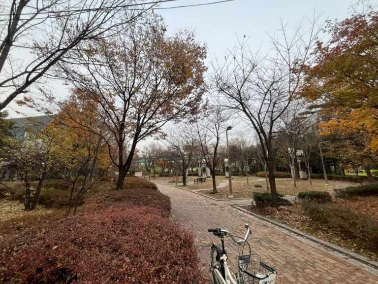 [예스키즈존] 신도림테크노근린공원