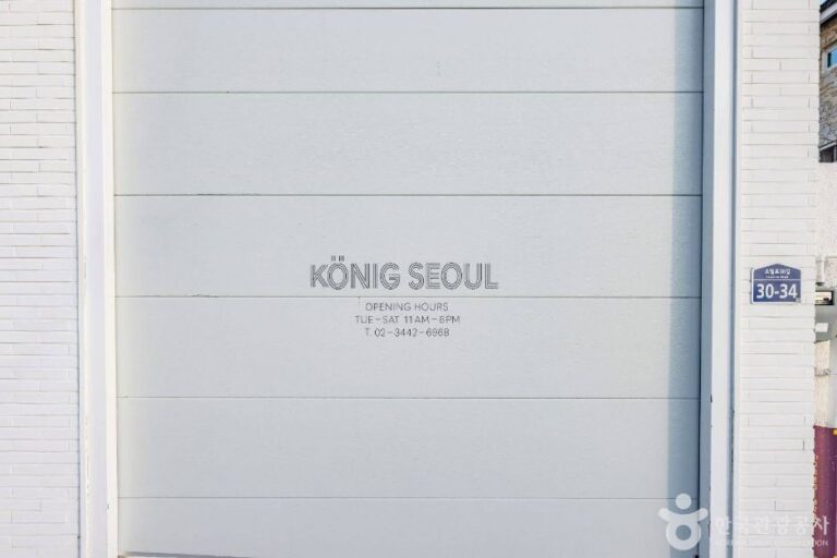 [예스키즈존] 쾨닉 서울