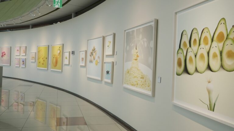 [예스키즈존] CXC아트뮤지엄