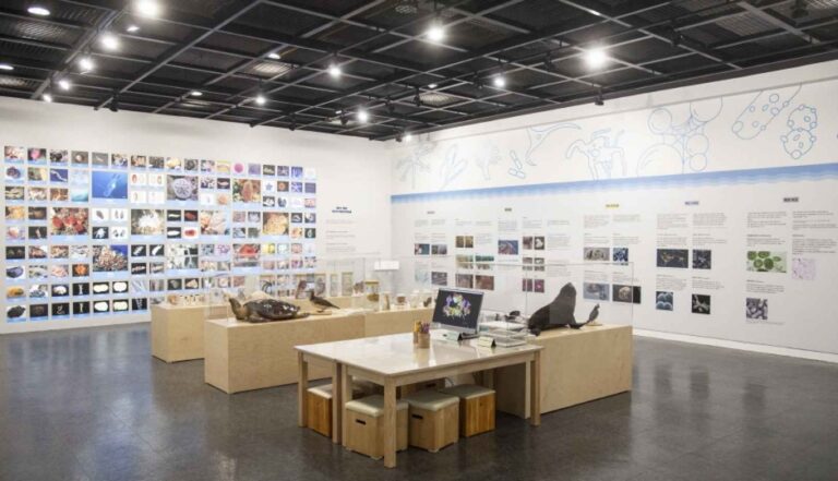 [예스키즈존] 이화여대 자연사박물관