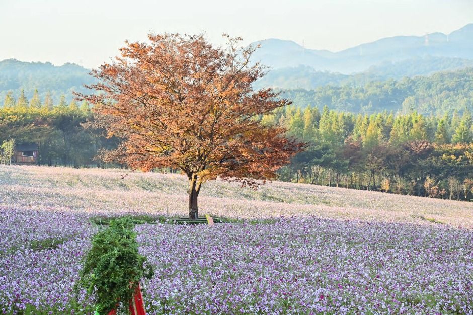 yeskids 1771445623 288 예스키즈존 탐험대 : 실패 없는 육아여행