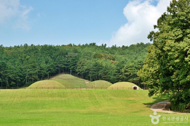 [예스키즈존] 부여 왕릉원 [유네스코 세계유산]