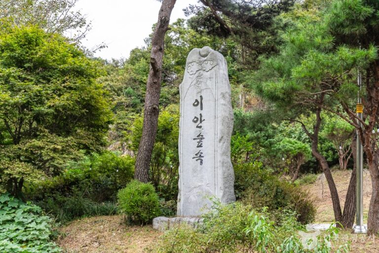 [예스키즈존] 이안숲속