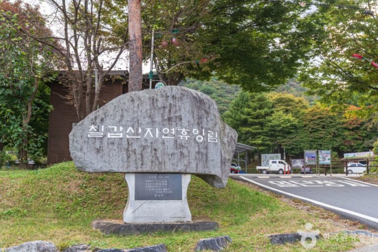 [예스키즈존] 칠갑산자연휴양림