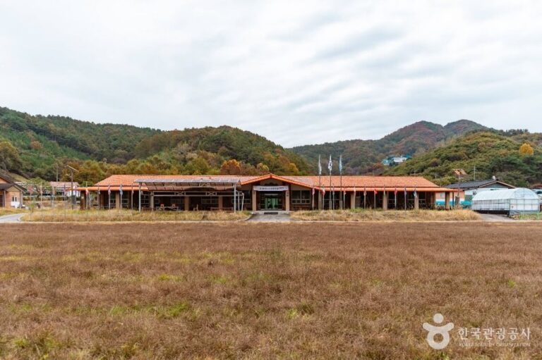 [예스키즈존] 둥구리 농촌체험휴양마을