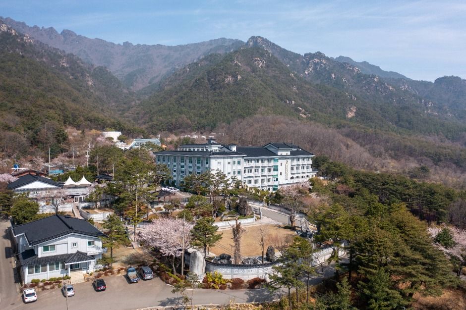 yeskids 1771445901 451 예스키즈존 탐험대 : 실패 없는 육아여행