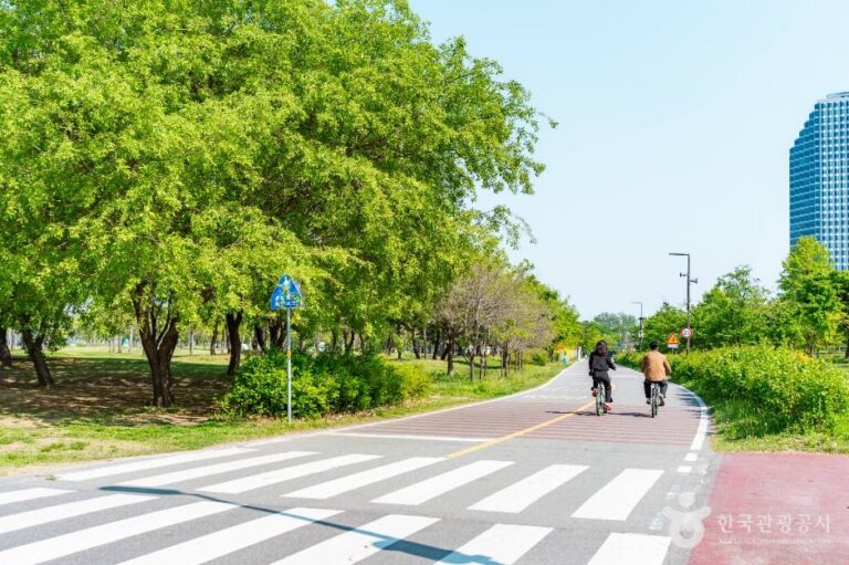 [예스키즈존] 여의도 둘레길(여의도 자전거도로)