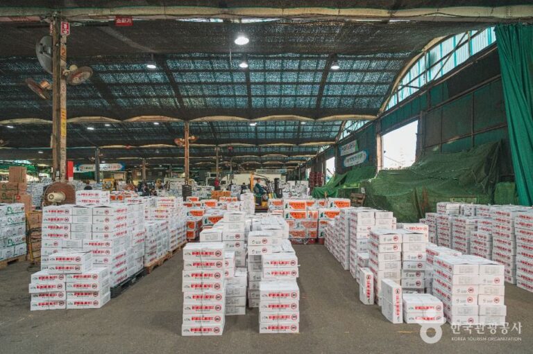 [예스키즈존] 가락농수산물종합도매시장