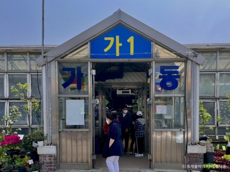 [예스키즈존] 양재꽃시장