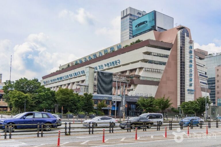 [예스키즈존] 서울고속버스터미널 의류도매상가