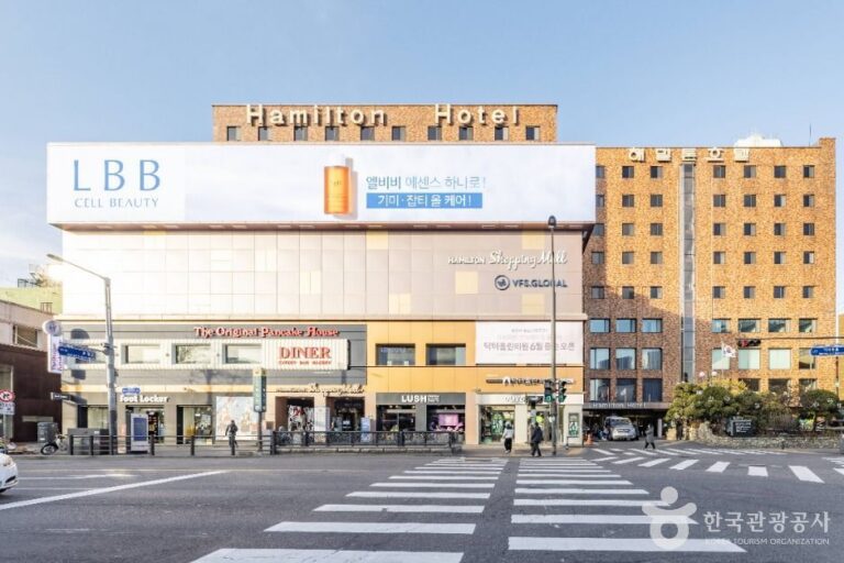 [예스키즈존] 해밀톤 쇼핑센터