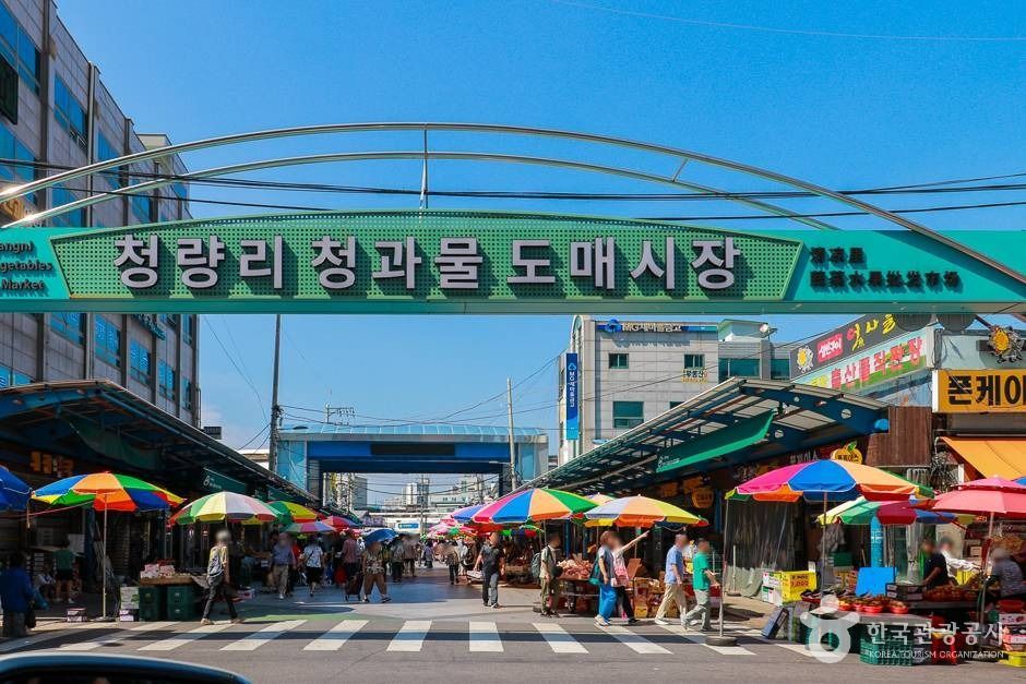 yeskids 1772051637 225 예스키즈존 탐험대 : 실패 없는 육아여행