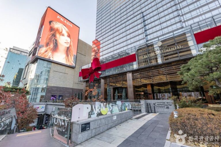 [예스키즈존] 파르나스몰