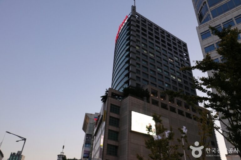 [예스키즈존] 밀리오레 동대문점