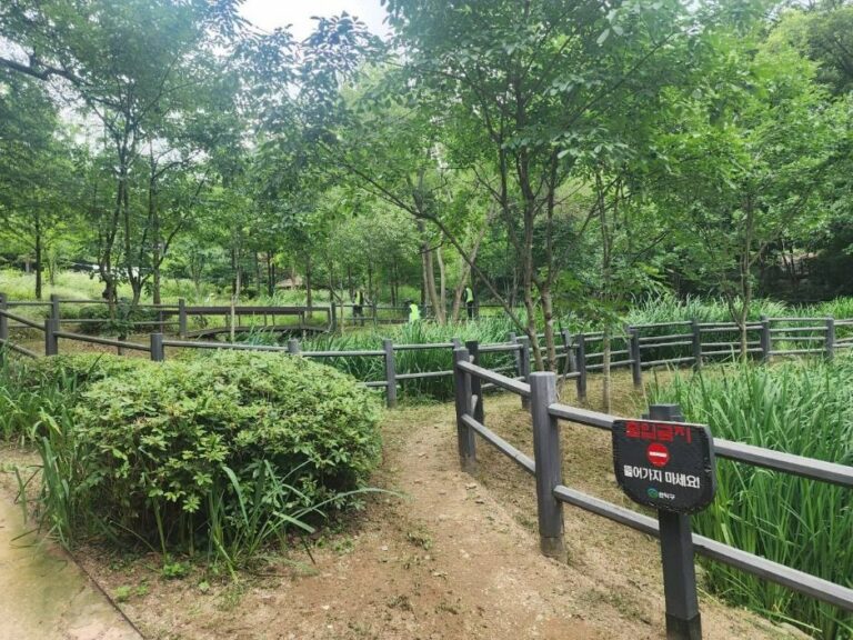 [예스키즈존] 관악산 선우공원