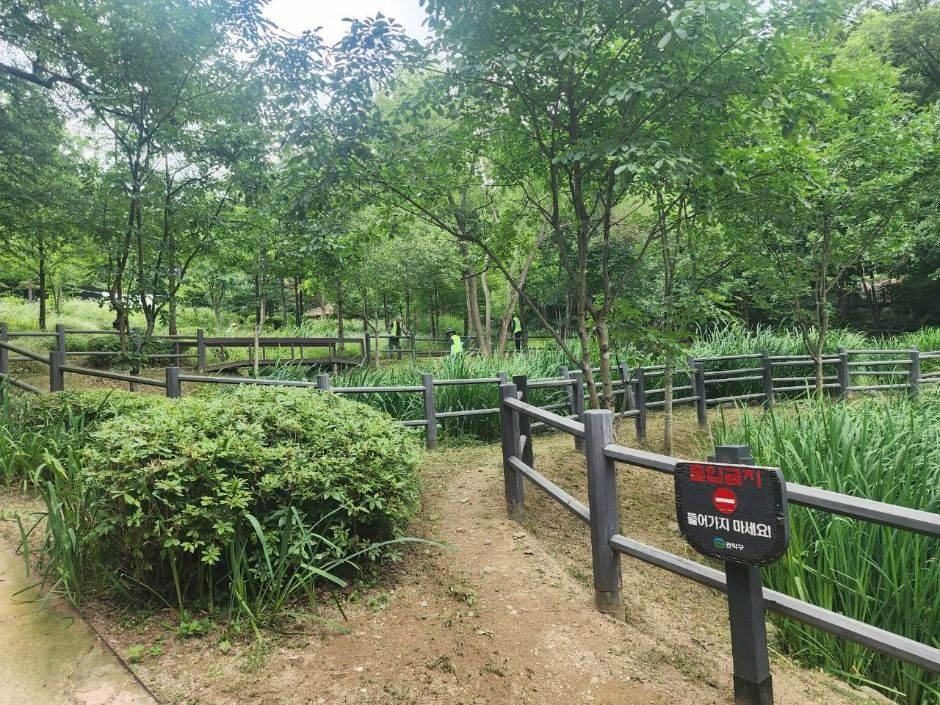 yeskids 1772223009 106 예스키즈존 탐험대 : 실패 없는 육아여행