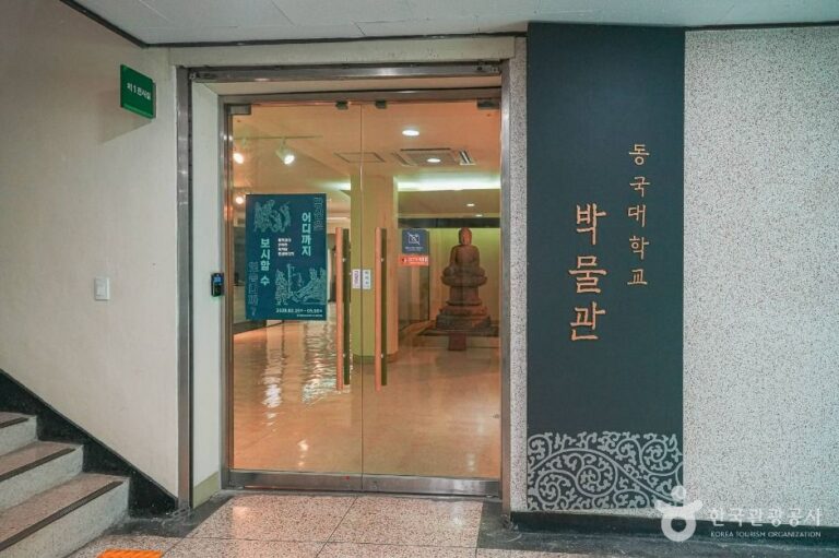 [예스키즈존] 동국대학교 박물관