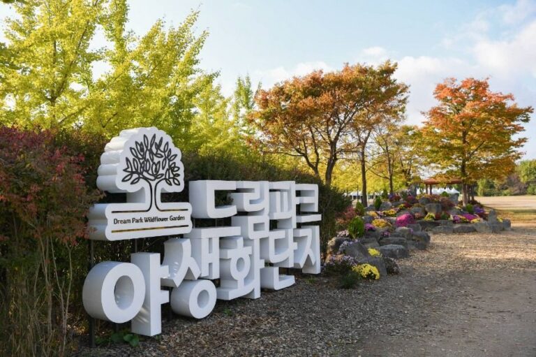 [예스키즈존] 수도권매립지 드림파크 야생화단지