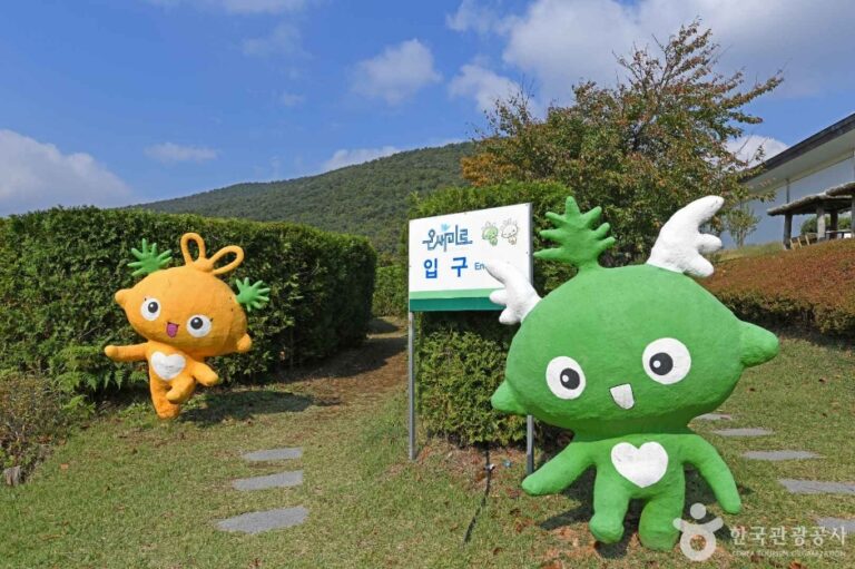 [예스키즈존] 강화 아르미애월드